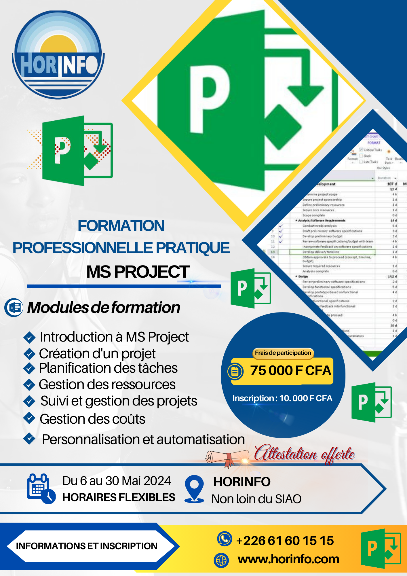 Formation professionnelle pratique en MS project